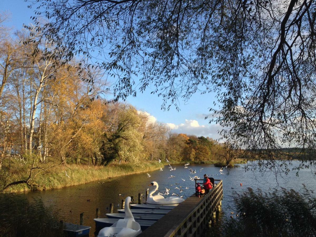 Steinbock-Ferienwohnungen Kölpinsee Buitenkant foto