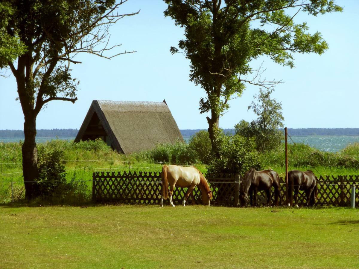 Steinbock-Ferienwohnungen Kölpinsee Buitenkant foto