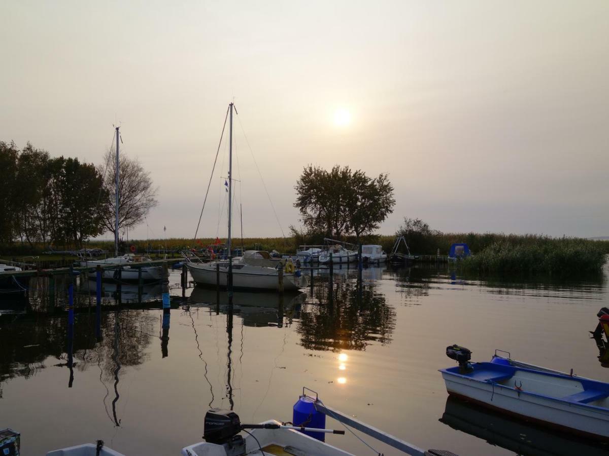 Steinbock-Ferienwohnungen Kölpinsee Buitenkant foto