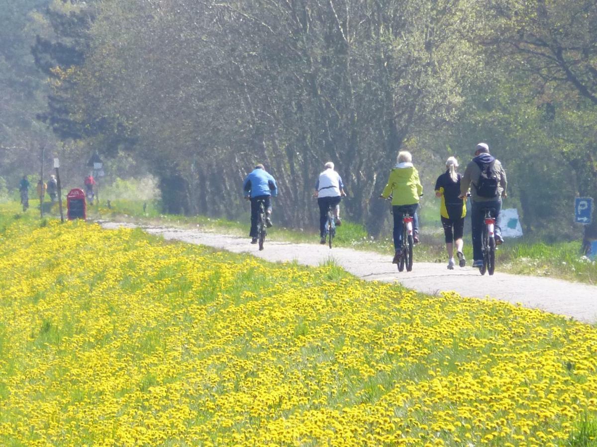 Steinbock-Ferienwohnungen Kölpinsee Buitenkant foto